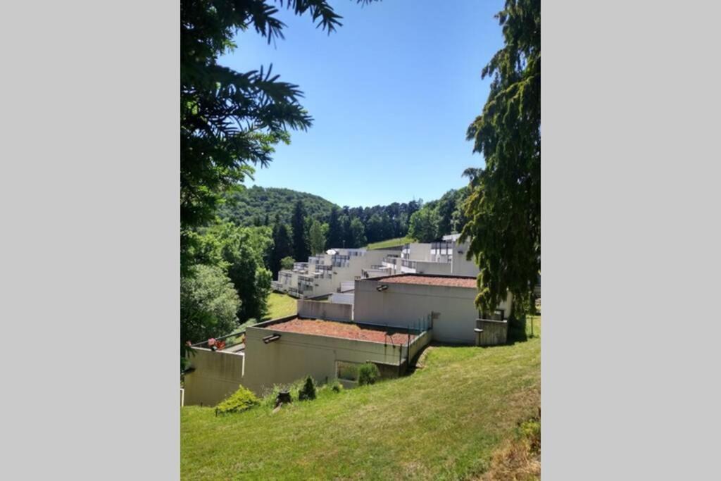 Studio Au Coeur Des Volcans D Auvergne - Мюроль Экстерьер фото