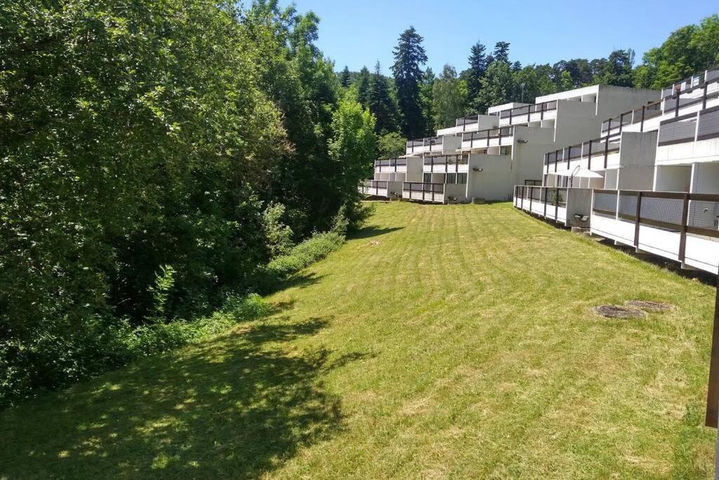 Studio Au Coeur Des Volcans D Auvergne - Мюроль Экстерьер фото