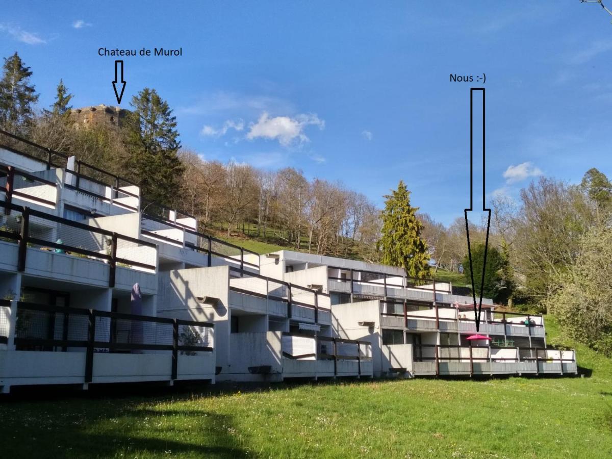 Studio Au Coeur Des Volcans D Auvergne - Мюроль Экстерьер фото